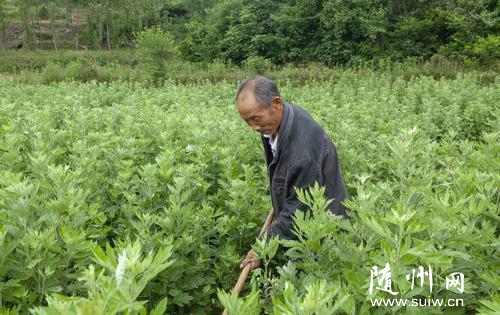 ��������ƶ