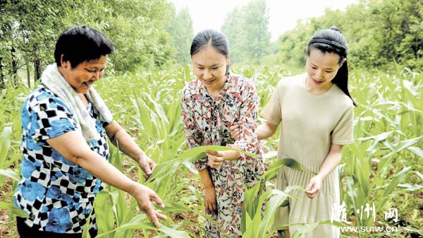 ����ɲ��»���