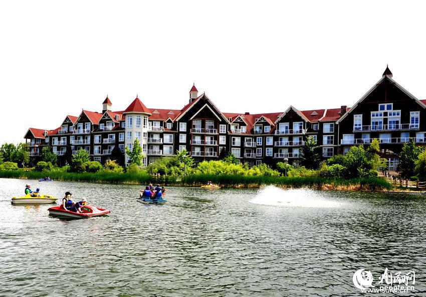 ���ô���ɽ�ȼٴ壬�ۺ���������ѡ��