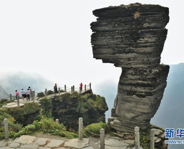 ������ɽ��ʽ���������Ų���¼