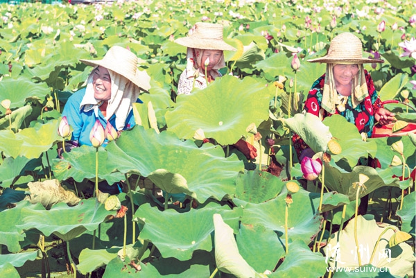 ��ե�Ŵ���ֲ̫����