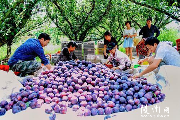 ��ʯ���