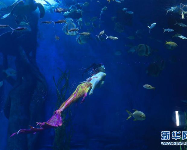 �λá������㡱 ����������