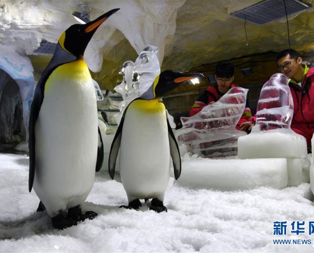 ���ر��� ��������