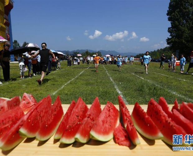 ���ջ�ɽ������Ȥζ�˶��Ỷ������