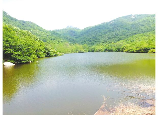 ��������Ȫ��