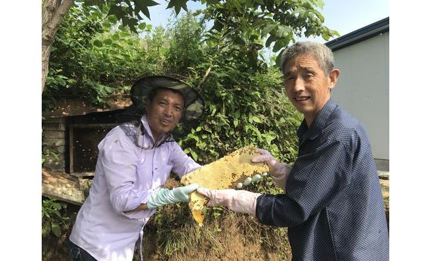 ������ƶ