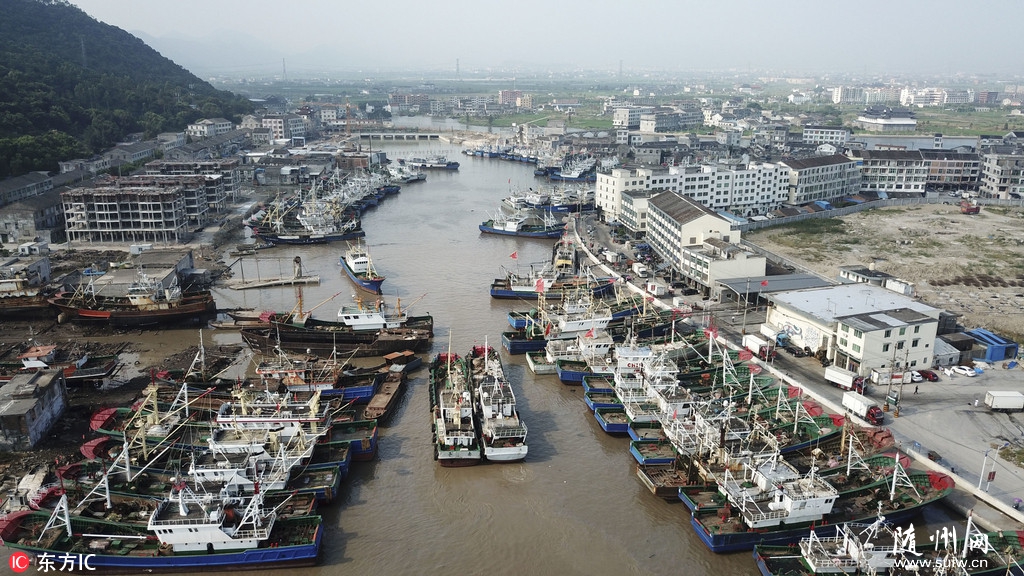 �㽭���ݣ���ֻ��۱�̨��