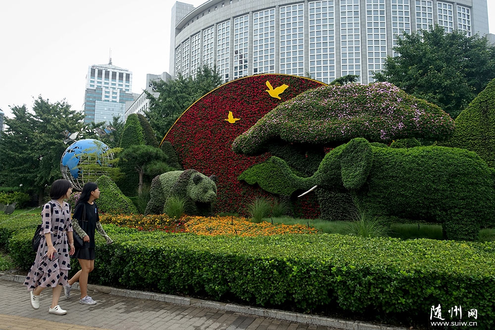 �зǺ�����̳����������⻨̳����