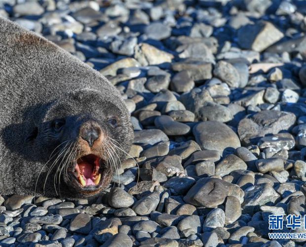 �����ĺ���