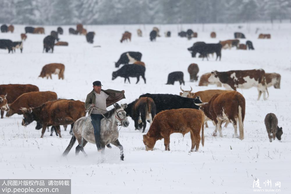 �½�����ӭ�������һ��ѩ