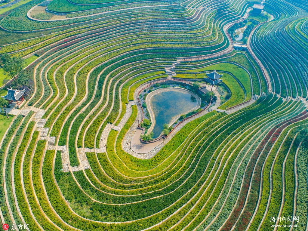 ���ݱϽڴ������������ ������ָ�ƣ���ͼ��