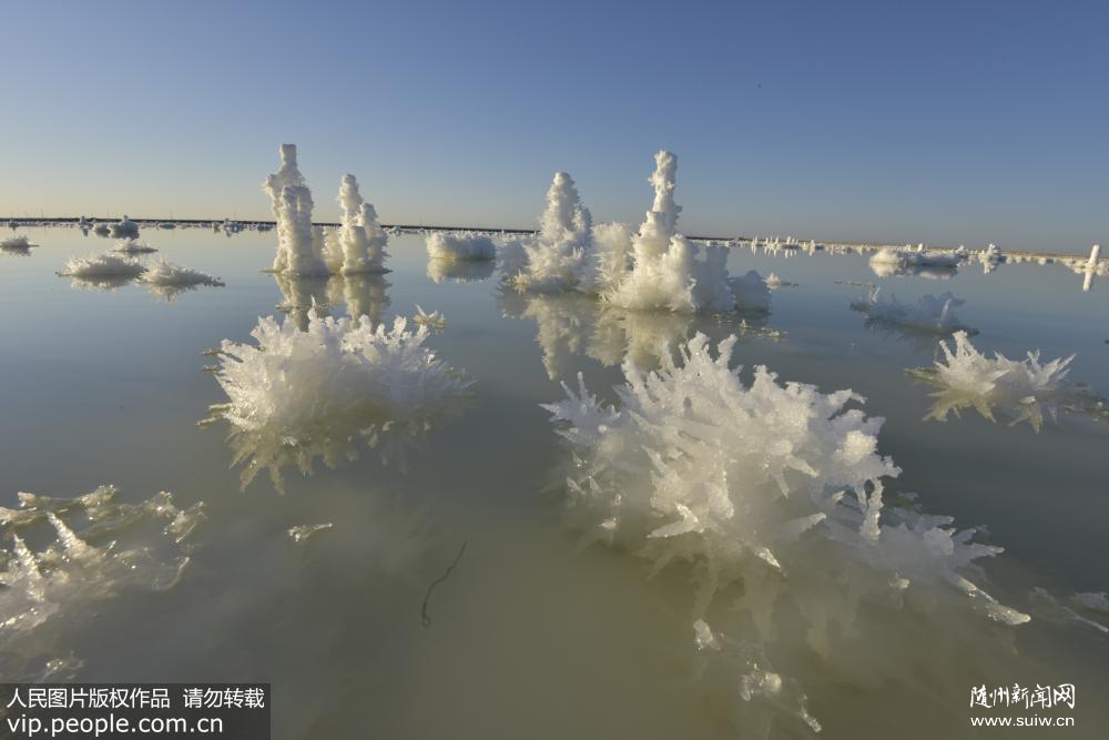 �½�����˹�κ������λ��������ơ�������