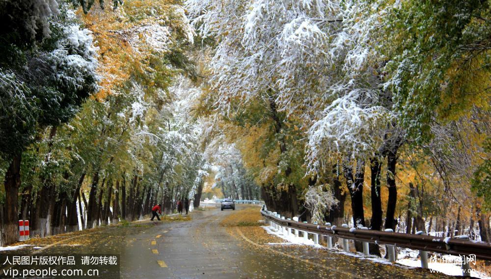 �½���ɽ���ӭ��������ѩ��