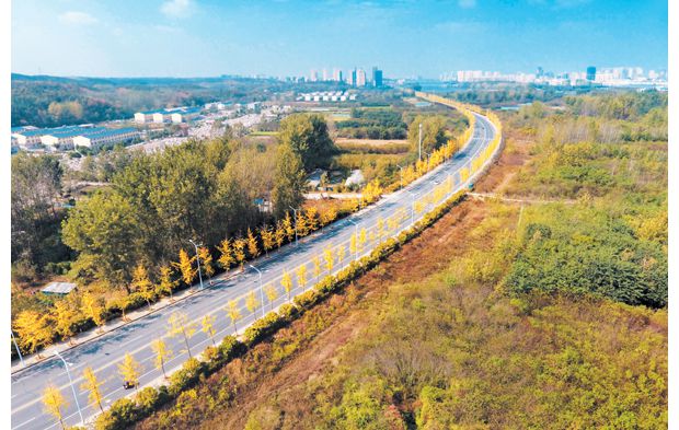 ���ƽ�����