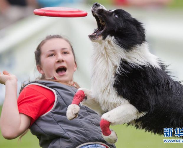 ���ȹ������˶�