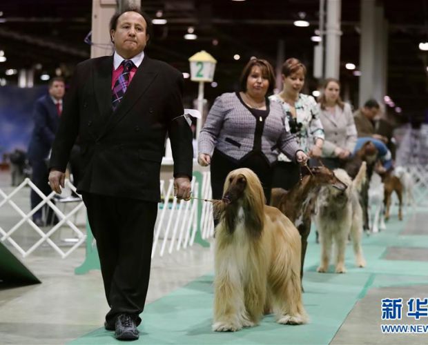 ֥�Ӹ�Ĺ�����