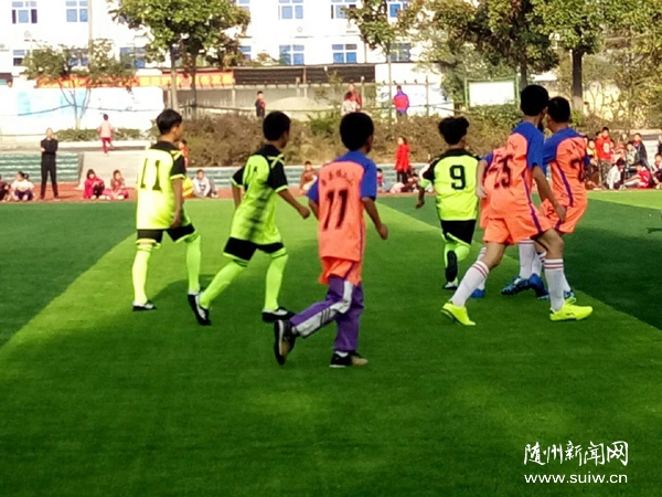 ������Сѧ�����������½���С����