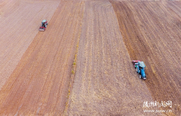 �����󻧵ĸ���֮·