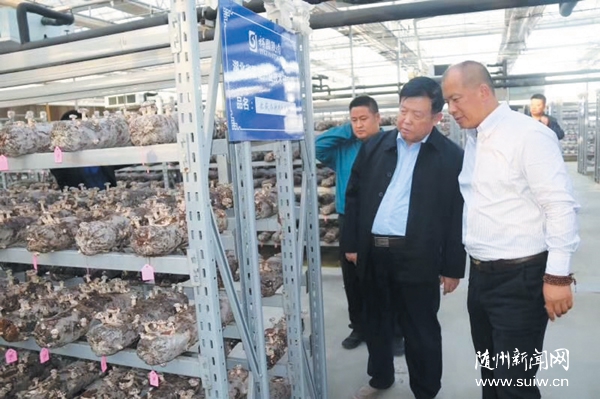 Ժʿ�»��� ָ���¼���