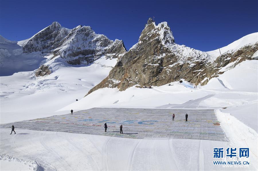 �����ϳ��֡������������Ƭ��