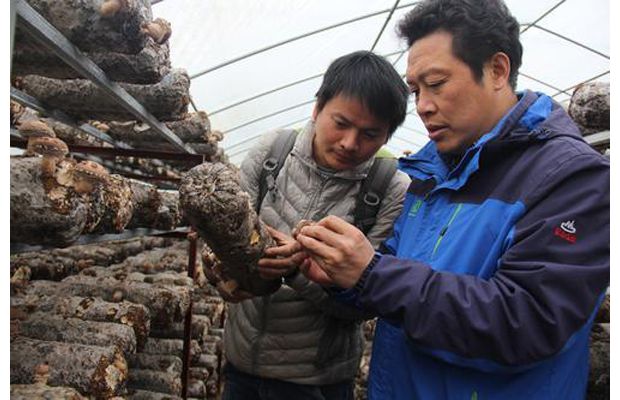 ��У������̬��