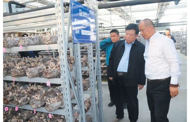 Ժʿ�»��� ָ���¼���