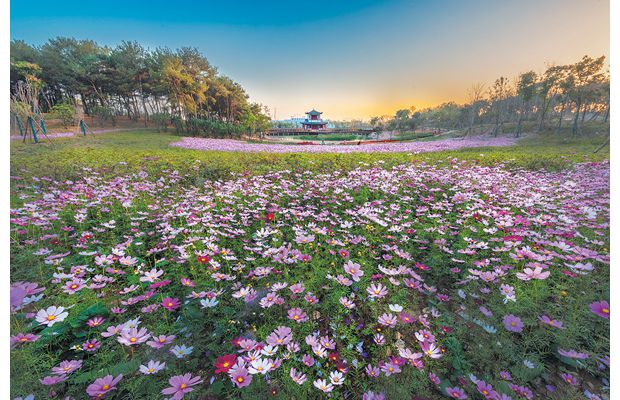 ��̬԰��ٻ���