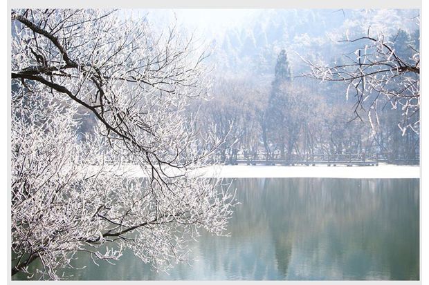 ���ɽѩ������