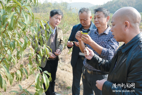 �ͿƼ�����