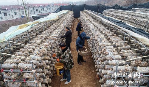 ����ȫ���ƹ��㹽�����ư�