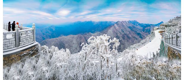 ���ɽ����ˢ������Ȧ