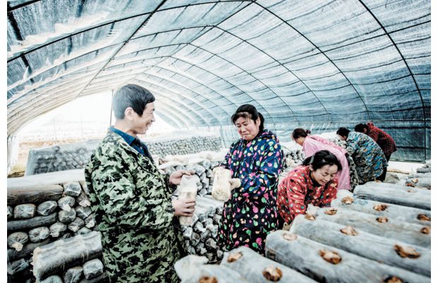 ���������㹽��