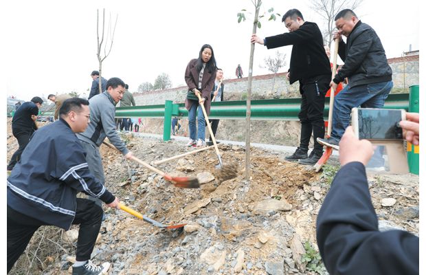 ��չ����ֲ��