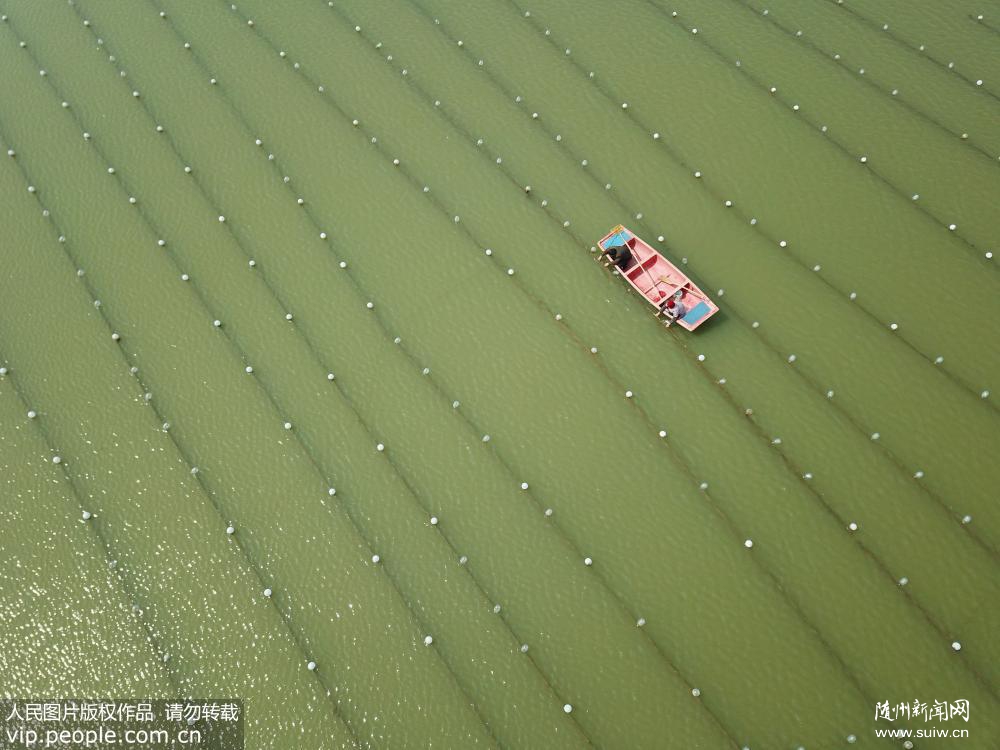 �������飺��ũˮ�ϡ�������æ