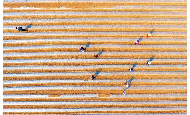 ����������