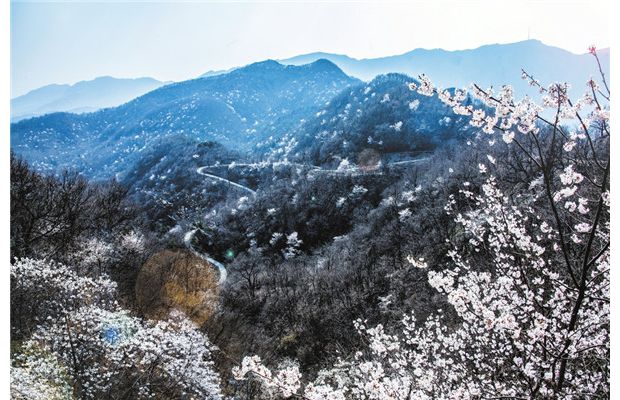 ӣ���������ɽ