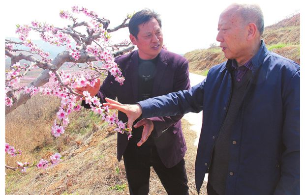 �仨������Ʒ��