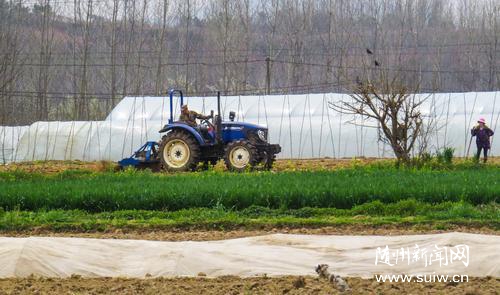 ����¡¡æ����