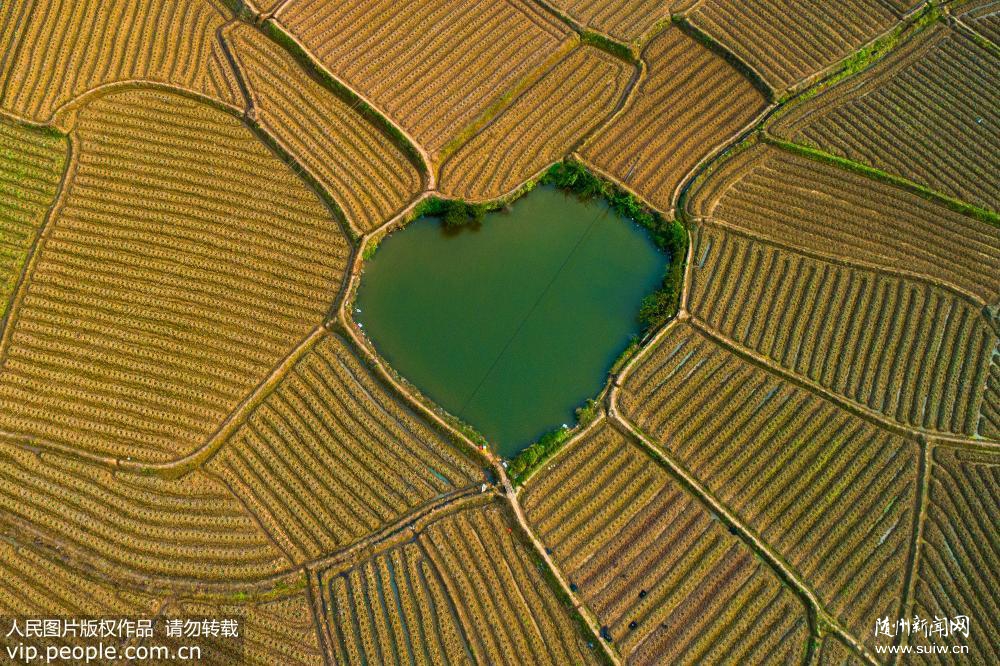 ���Ϲ�������ء�ָ�ơ� ����ʤ��