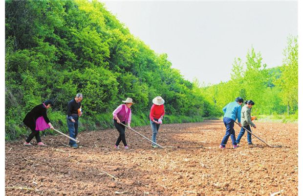 ����ͷæ����