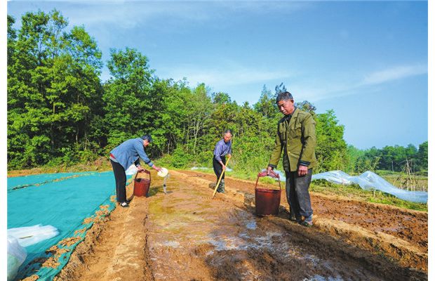 ���ݸ���æ����