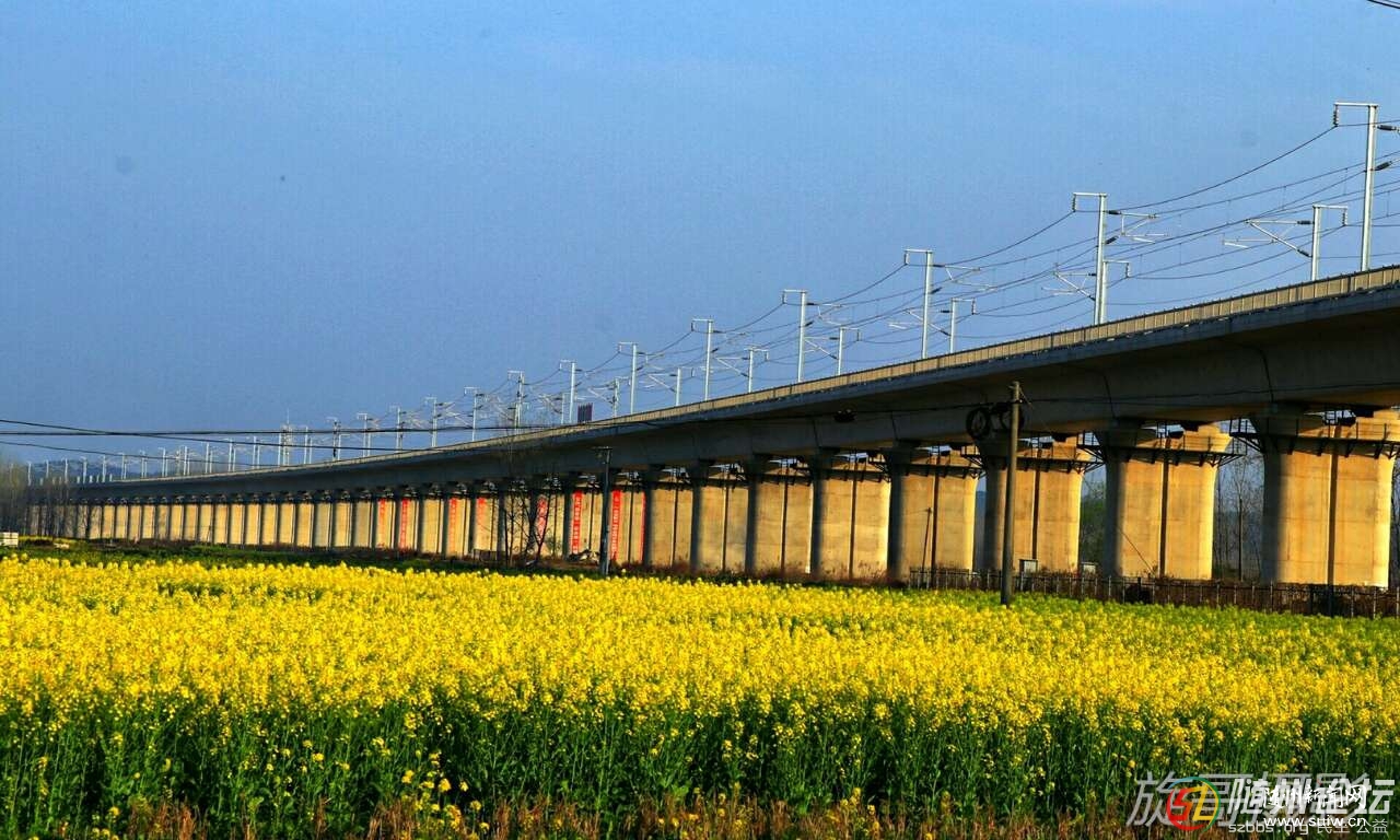 ÿ��һ��/���ذ��Ӹ���վ���߹�ģ