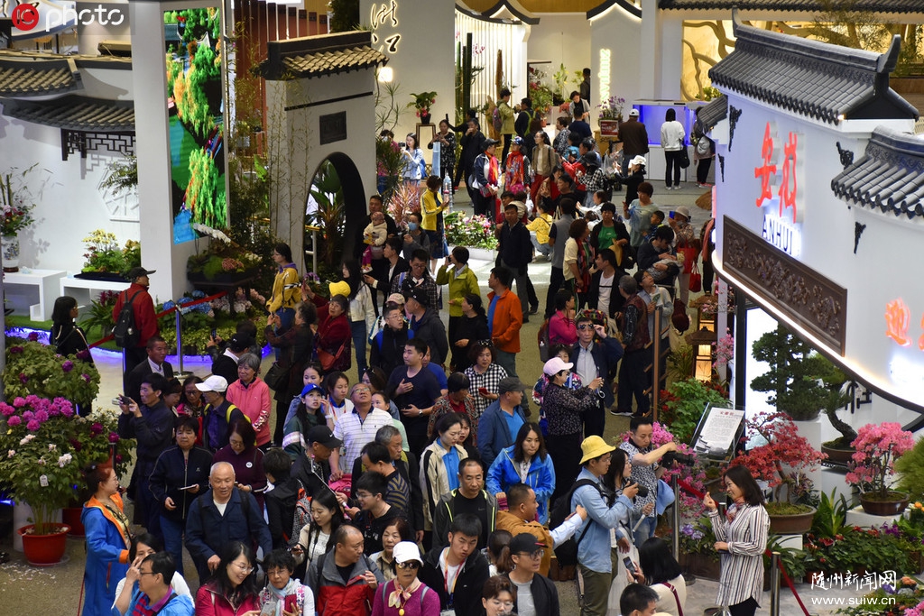 ������2019�걱����԰��������֯�����