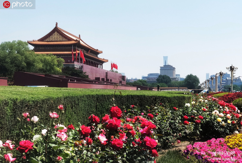 �¼�������������