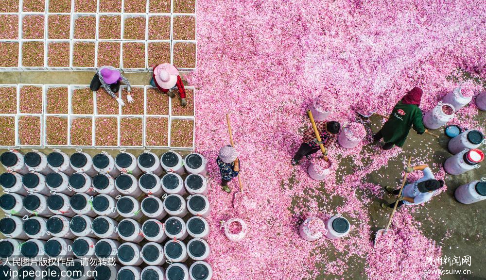 ������������Ķõ�忪��������ƶ��