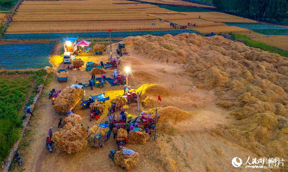 ������æ ȫ�����ն�С����Ķ