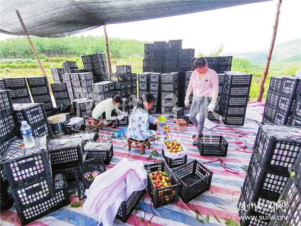 ���ҽ����������