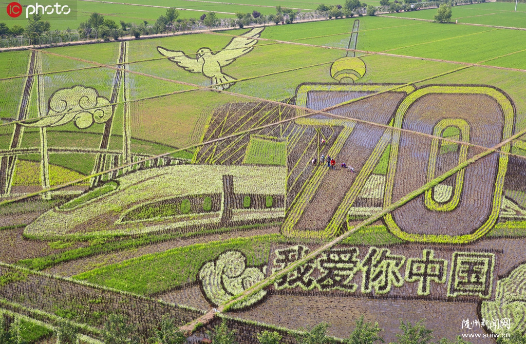 �޷����ﻭ���Ұ����й����������� �������70����