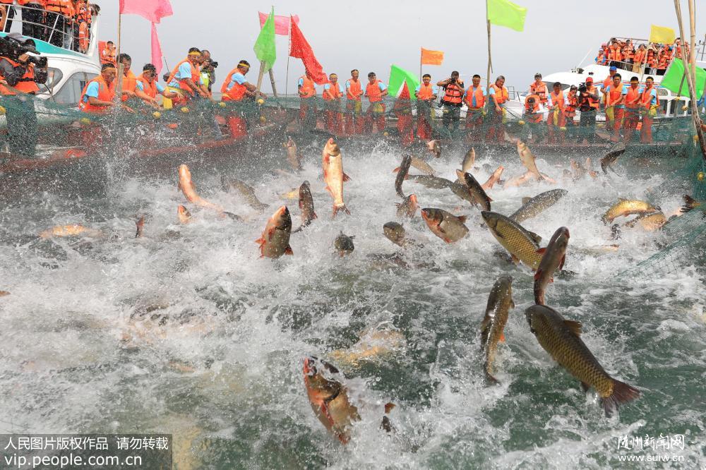 �½���˹�ں��������� �������������